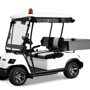 ECAR LT-A2UL - 2 Seat Utility Cart