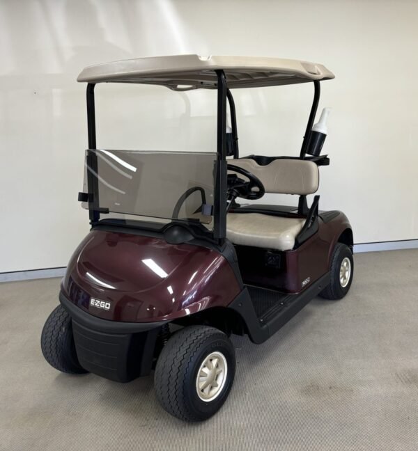 EZGO RXV 2019 ELECTRIC